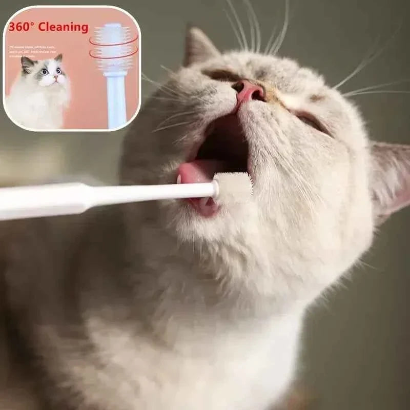 Complete Pet Toothbrush And Toothpaste Kit