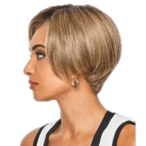 Raquel Welch Heard It All Wig - Choose Size
