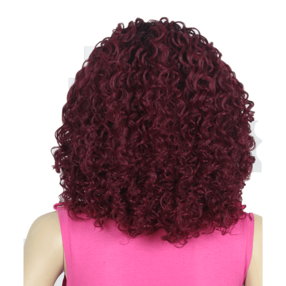 It's a Wig! Swiss Lace Yeva Wig Hairpiece
