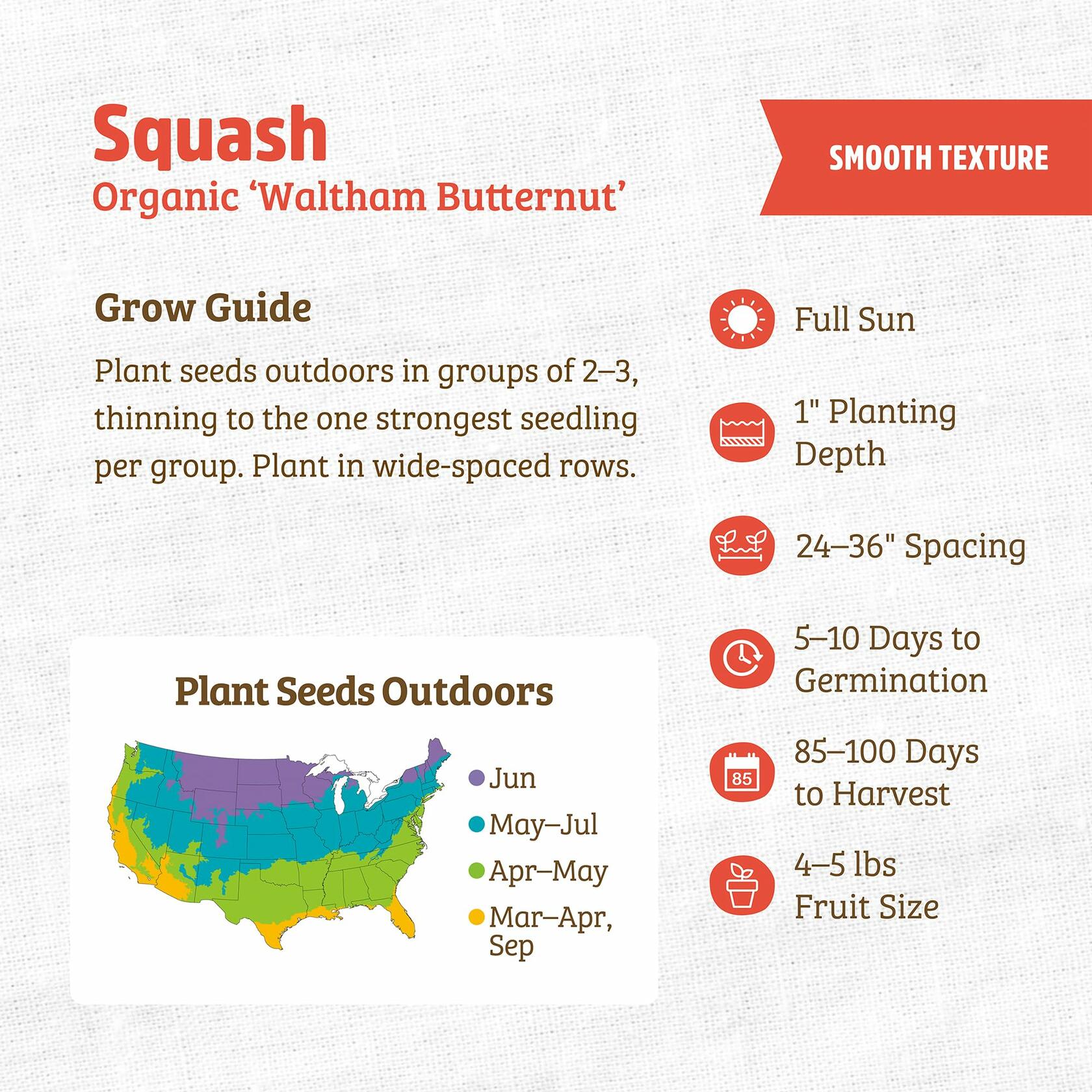 Winter Waltham Butternut Squash Seed Packet 2.8g Heirloom Planting