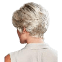 Eva Gabor Perfection Wig