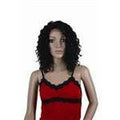 VIP Extensions Remy Human Hair Lace Front Wig 500 Curly 15"