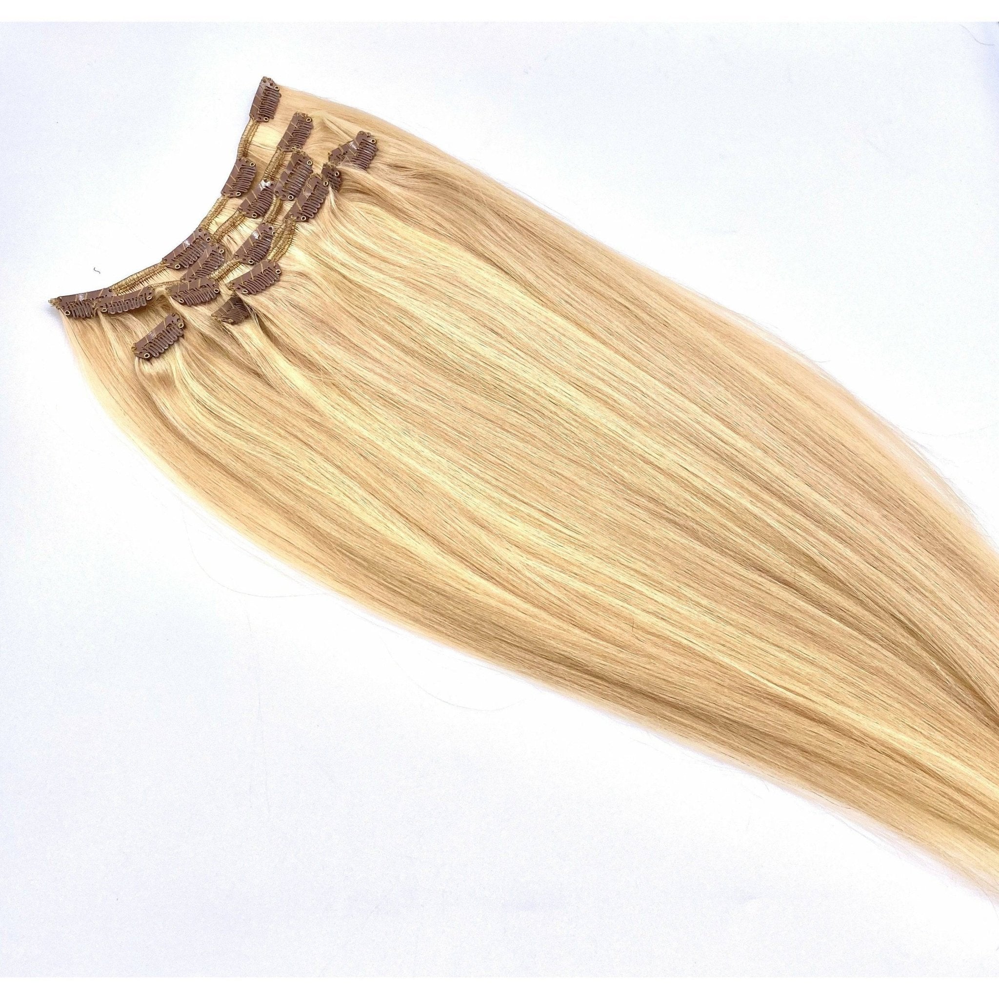 VIP Clip Extensions / Silky Straight 18" - ClipeX System
