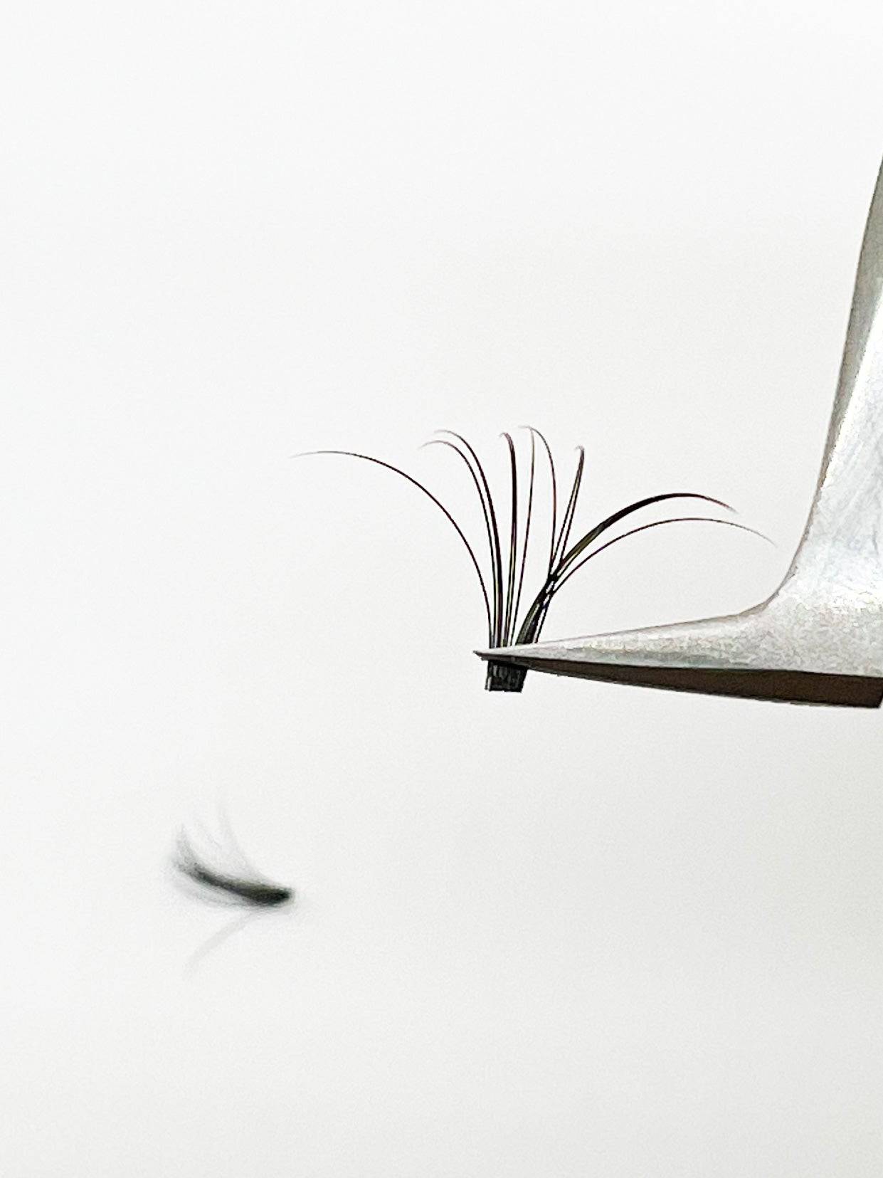 VIP Quick Fan Eyelash Extensions 12 Lines 0.07 C Curl