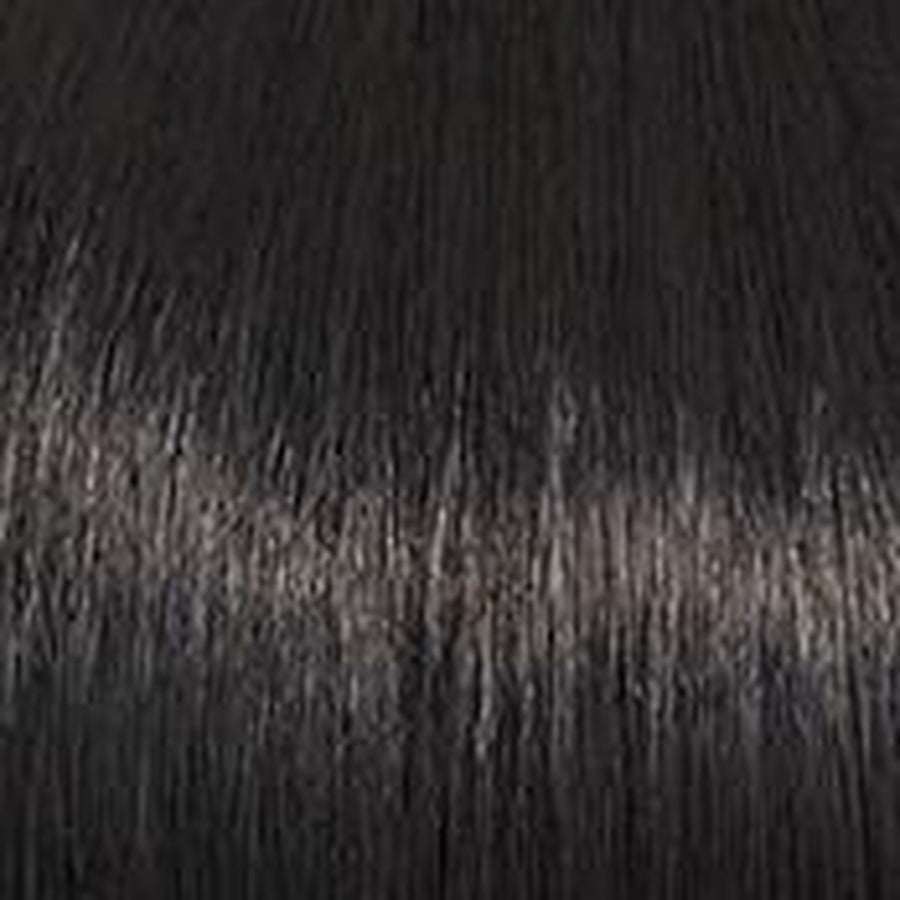 Whimsy - Wig by Raquel Welch