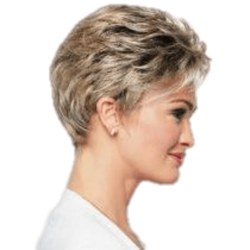 Raquel Welch Winner Elite Wig